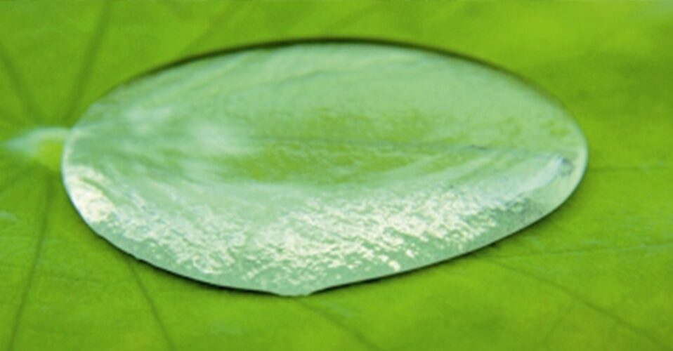 gota de agua en loto lototec